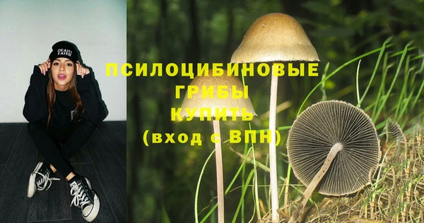 а пвп мука Алзамай