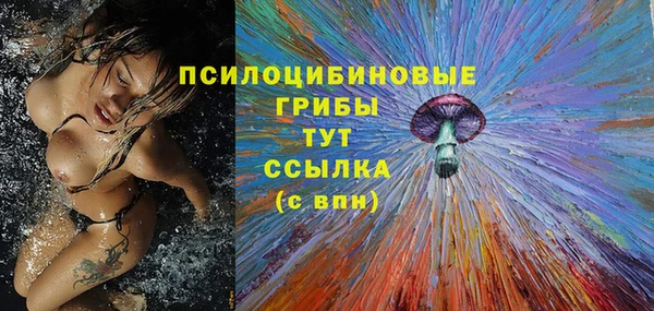а пвп мука Алзамай