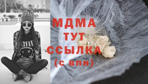 хмурый Алексин