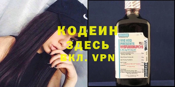 хмурый Алексин