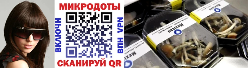 Псилоцибиновые грибы прущие грибы Сосенский
